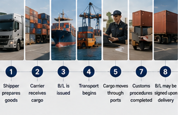 Processus d’expédition étape par étape avec des documents de connaissement dans la logistique internationale