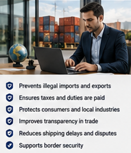 Responsable logistique international examinant la documentation douanière et les procédures de transport